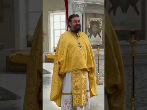 КАДЫРОВЦЫ, ХРАНИ ИХ БОГ, ВОТ КТО ВДРУГ ОКАЗАЛИСЬ НЕЖДАННЫЕ ДРУЗЬЯ / ПРОТОИЕРЕЙ АНДРЕЙ ТКАЧЁВ