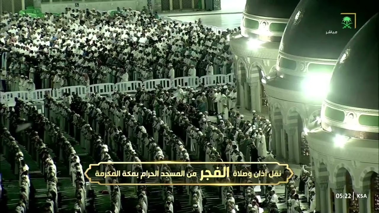 ويستمر الشيخ #عبدالله_الجهني بتميزه الفريد بتلاوة من سورة البقرة | فجر ١٤ ربيع الآخر ١٤٤٦ هـ