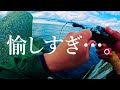 【穴釣り】大物シーズンなので調査に行ってきました