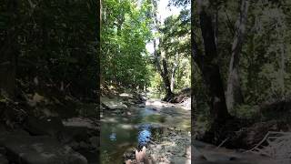 Guadalupe Creek, Los Gatos California ††† #shorts #california #sabbath #eternal #godisgood
