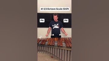 Octave Scale Shift #music #marimba #player #percussion