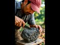 Stone Cutting Deep Forest ASMR Video #ai #aivideo #shortsviral #shortvideo #forest #viralshort