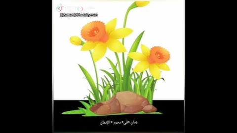 المشاعر والفوائد والحب في سور القرآن الكريم الحب لسورة لقمان