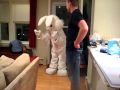 Easter Bunny comes to Jack's house