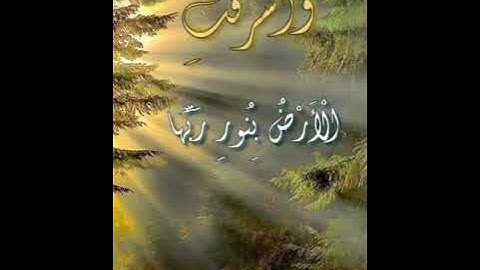 (وَأَشْرَقَتِ الْأَرْضُ بِنُورِ رَبِّهَا) تلاوة جميلة هادئة للقارئ إسلام صبحي