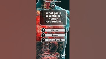 Can you get 5/5 in this general knowledge quiz? #shorts #generalknowledgequiz