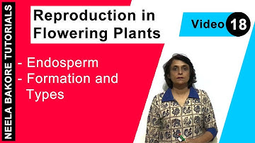 Reproduction in Flowering Plants | NEET | Endosperm - Formation and Types | Neela Bakore Tutorials