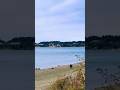Titlow Beach Park in Tacoma, Washington is a gorgeous spot for a waterfront walk and day @ the beach