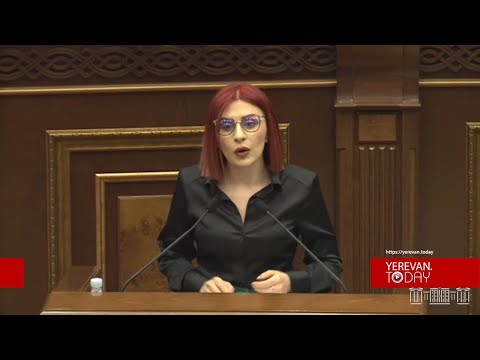 Պետական մակարդակով ռեկետ եք անում պղնձամոլիբդենայինում, խոսում Քոչարյանի «փայի՞ց». Ագնեսա Խամոյան