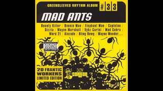 Ward 21 - No Apologies (Mad Ants Riddim) 2002 HQ