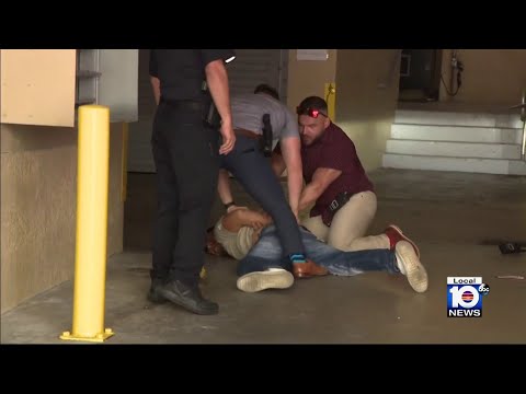 titok. panafriwoke police arrest lady with sunny dress Woman in viral traffic stop video leaves jail, then her driver is arrested  for same thing