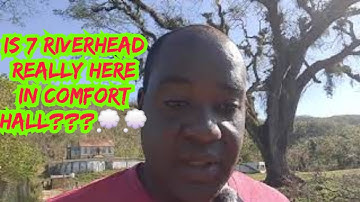 The Tree That Holds The 7 Riverheads For Comfort Hall Manchester #viral #flooding #water #trending .