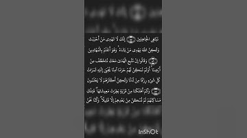 #اكسبلور #القرآن_الكريم #راحة_نفسية #المصحف #القران #لايك #الرحمن #تلاوات_رائعة #ماهر_المعيقلي