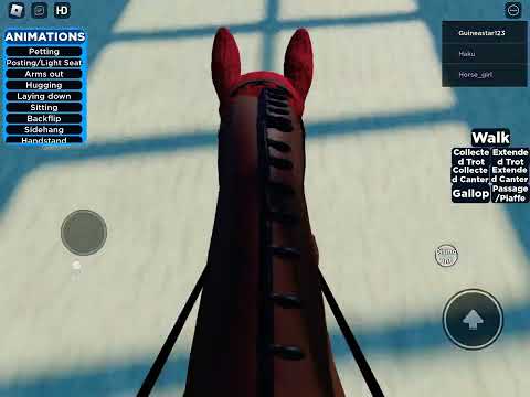 POV Showjumping in Wild Heart Stables V2 l Roblox