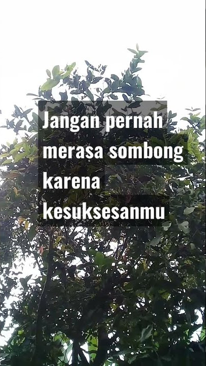 jangan sombong karena ini... #katabijak #motivasi #jangansombong #statuswa