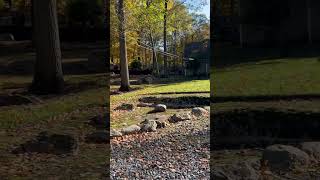 Мои прогулки. Дома. Поет Джо Дассен. Хиты 80-х. #live #walk #walking #usa