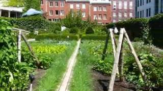 Montreal Travel: Nice Garden behind Chateau Ramezay
