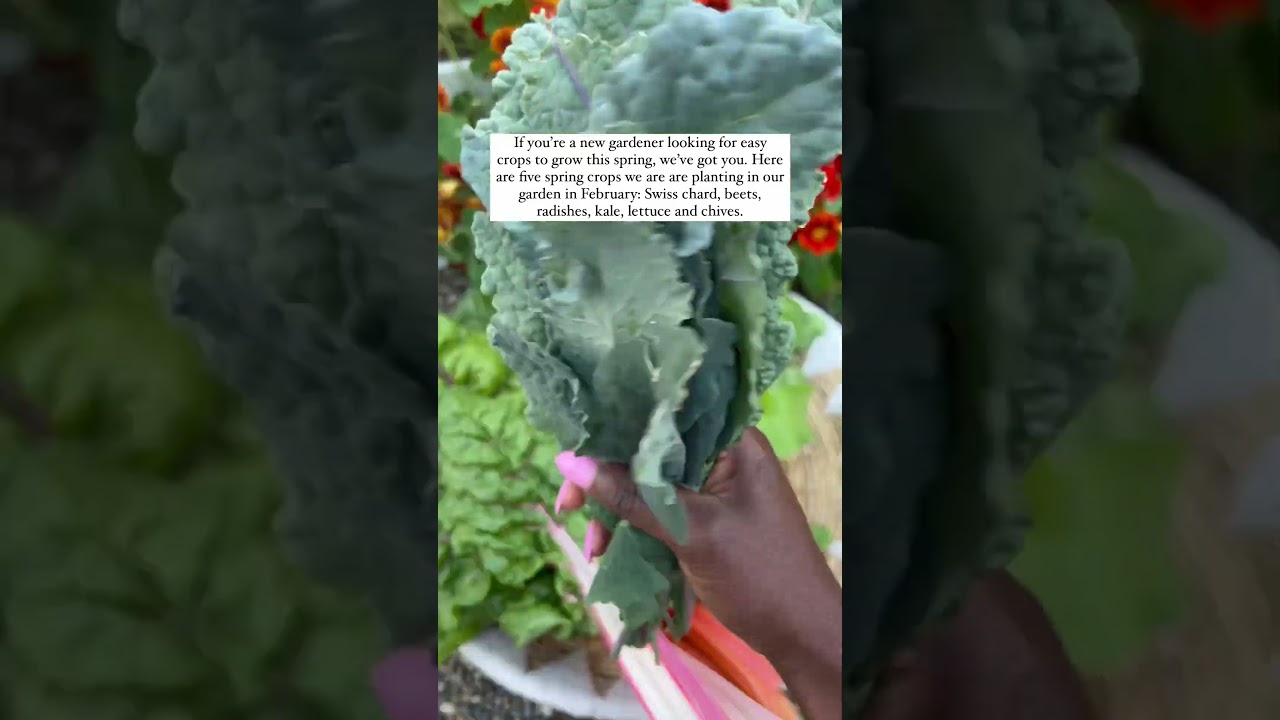 This February, we are planting cool season veggies that grow quickly. 