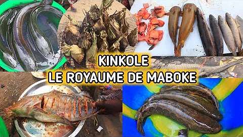 Dcouverte KINKOLE LE ROYAUME DE MABOKE DANS LA COM...