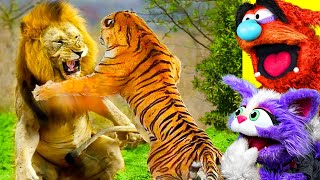 Most DANGEROUS Animals In The WORLD !