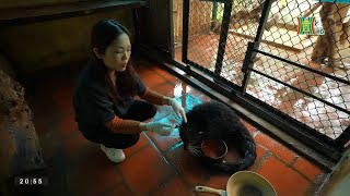 Những ''bảo mẫu'' ở Vườn thú Hà Nội | Nhịp sống Hà Nội