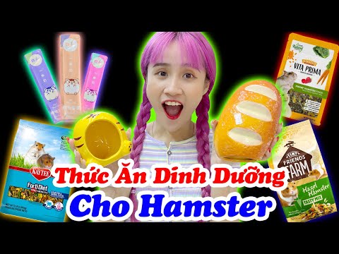 Video 1 Ngày Đi Mua Thức Ăn Đủ Loại Cho Chuột Hamster - Vê... - youtube