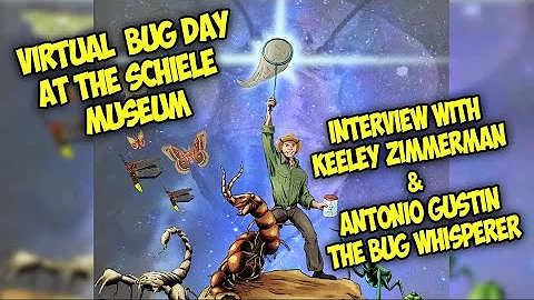 VIRTUAL BUG DAY - Interview with Keeley Zimmerman ...