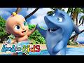 Baby Shark + Sleeping Bunnies + The Wheels on the Bus | Kids Songs & Nursery Rhymes | LooLoo Kids