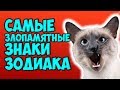 САМЫЕ ЗЛОПАМЯТНЫЕ ЗНАКИ ЗОДИАКА 🐍