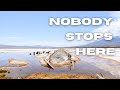 Everyone Drives Past This Hidden Wildlife Area on Hwy 395