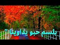 صلوا علي نبينا احمد يانور عيننا عليه افضل الصلاه والسلام mp3