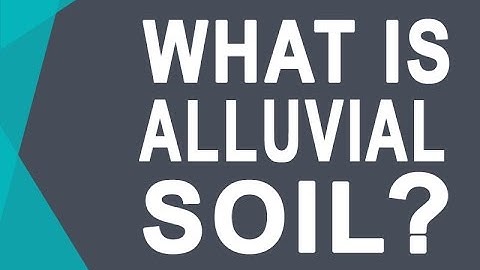 Alluvial Soil - Soils of India