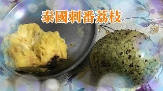 自家種刺番荔枝成熟落果(黃肉品種)20190725 