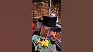 Javanese Relaxing Music for Meditation, Healing & Sleep | Traditional Gamelan Sounds