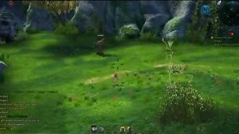 Tera online first impression