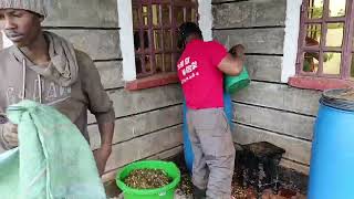How To Make Drum Silage