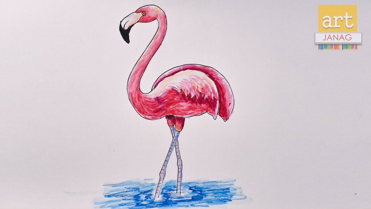 How to draw flamingo bird step by step II How to Draw a Flamingo II By Art  JanaG - YouTube