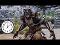 5 Underrated Skyrim Mods In 5 Minutes (Week 8)