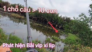 Lại trúng bãi cỏ vip ngon, vô lure cá lóc một buổi mười mấy con