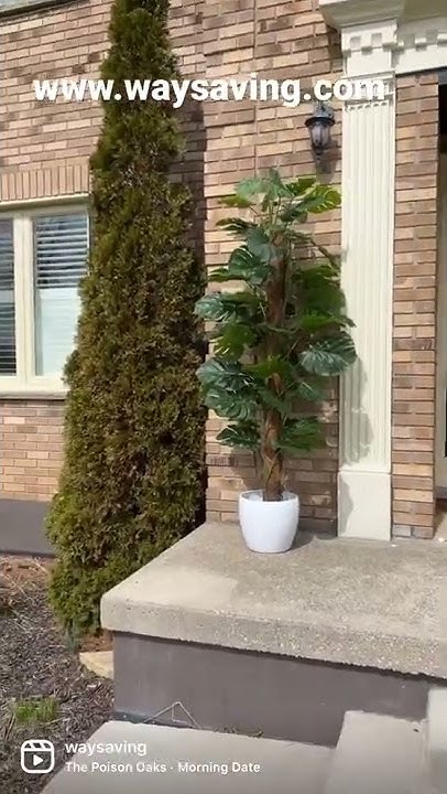 the-best-artificial-plant-to-put-on-porch-no-one-notice-it-s-a-fake