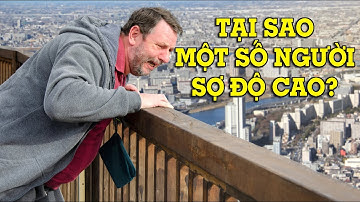 Tại sao một số người sợ độ cao - 1 phút giải đáp