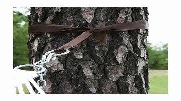 Hammock Pawleys Island Tree Straps