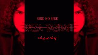 Video thumbnail of "REZA YAZDANI ( PARANDEH BI PARANDEH )"