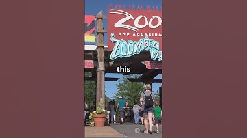 The First Ever YouTube Video: Me at the Zoo #YouTubeHistory #MeAtTheZoo #JawedKarim
