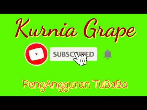 Video: Pangkas Rumah Kaca