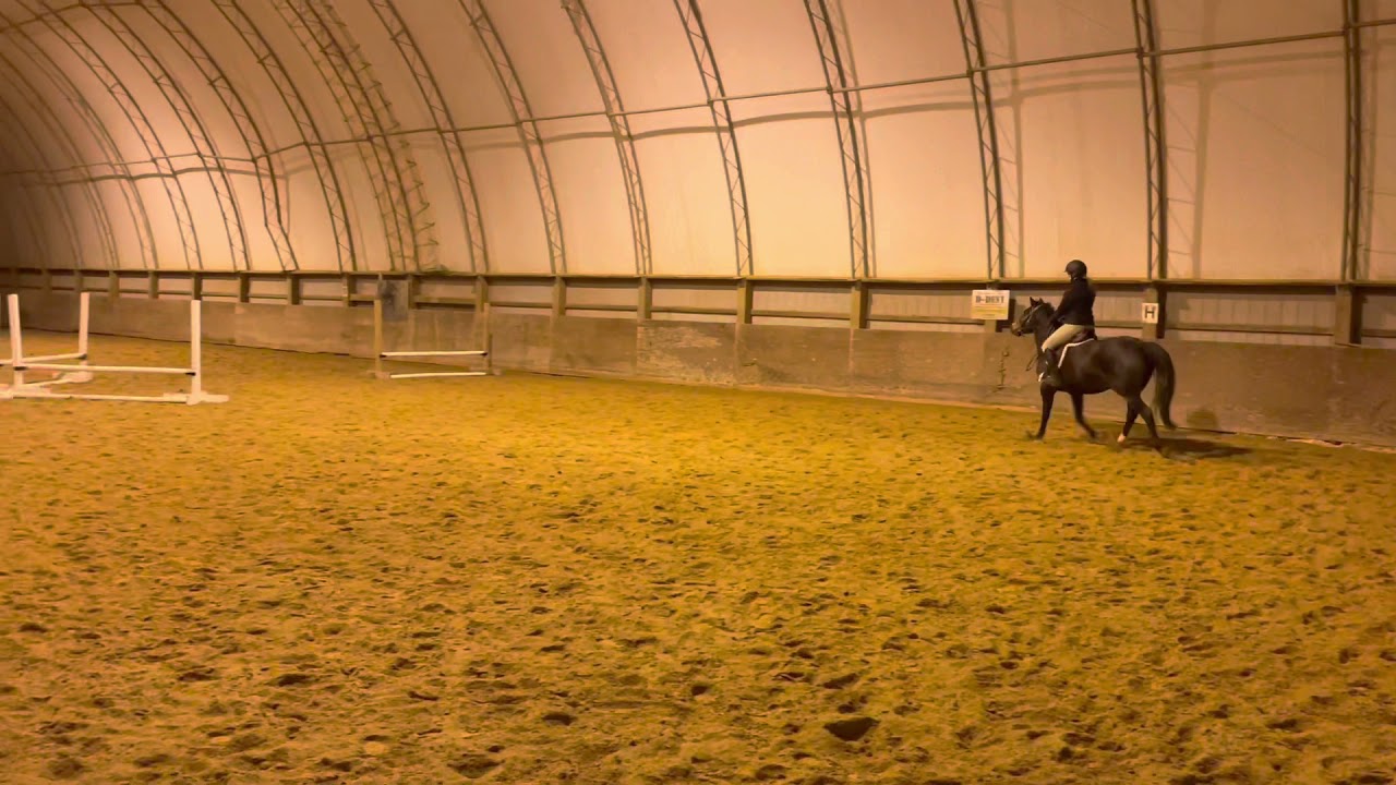 Lexi Clarke on Orion’s Odyssey | green hunter eq u/s | nov 2021