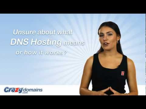 Domain Name System (DNS) Hosting: How it works