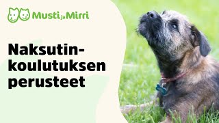 Naksutinkoulutuksen perusteet