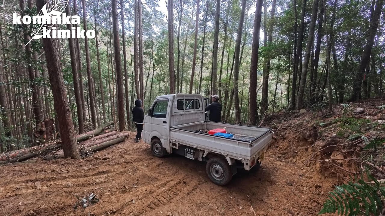 【古民家に住もう#303】０から山開拓、小さい広場ができました