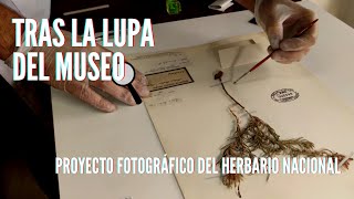 Tras la Lupa del Museo - Proyecto fotográfico del Herbario Nacional 🔍🌿📸